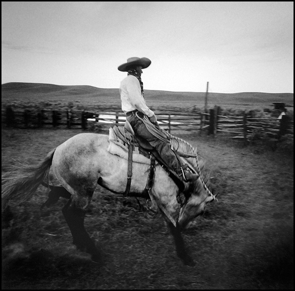 A Fresh Horse,  Spanish Ranch, NV
