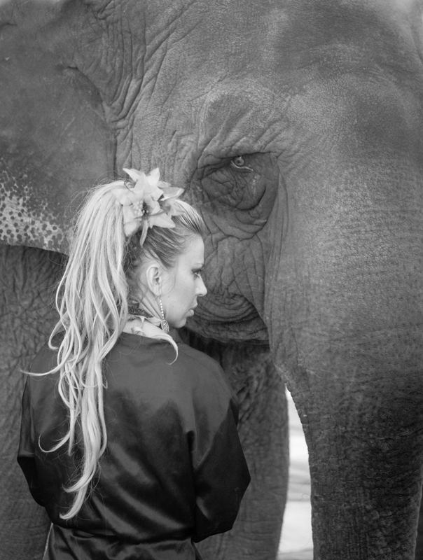 Elephant Trainer, Circus, Buffalo, Wyoming
