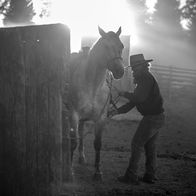 Morning, Willow Creek Ranch, Wyoming