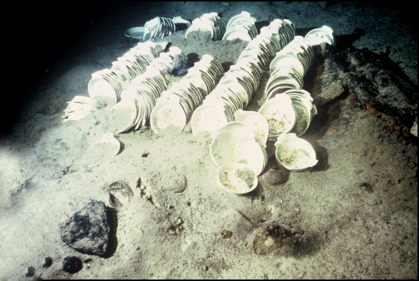 A crate of egg plates that landed on the ocean floor. Wood-boring creatures consumed the crate