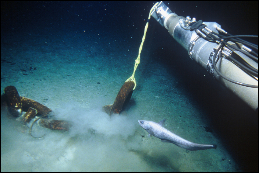 RMS Titanic - Arm of Submersible "Nautile"