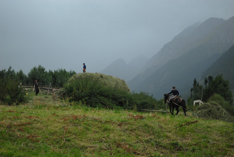 Stacking Hay ,Kyrgyzstan, 2009