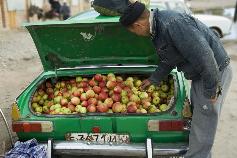 Apple Seller, Karakol, Kyrgyzstan