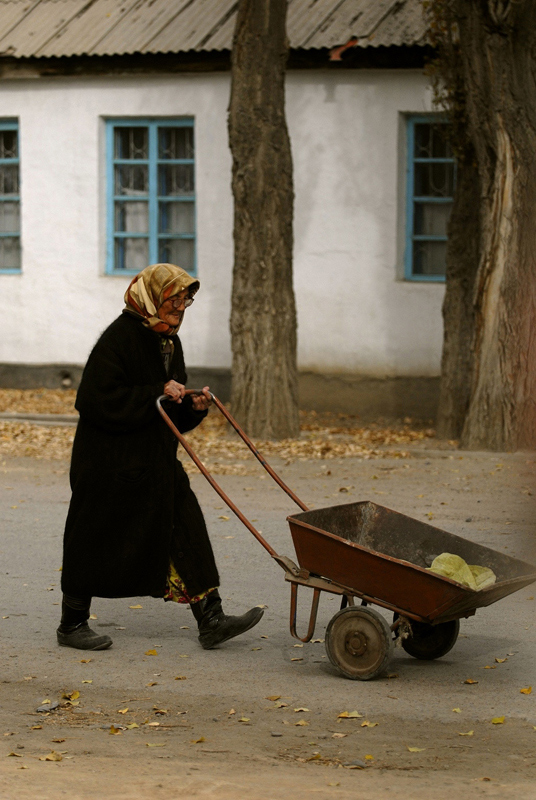 Woman and Shopping cart,  on the way to Market, Kyrgyzstan