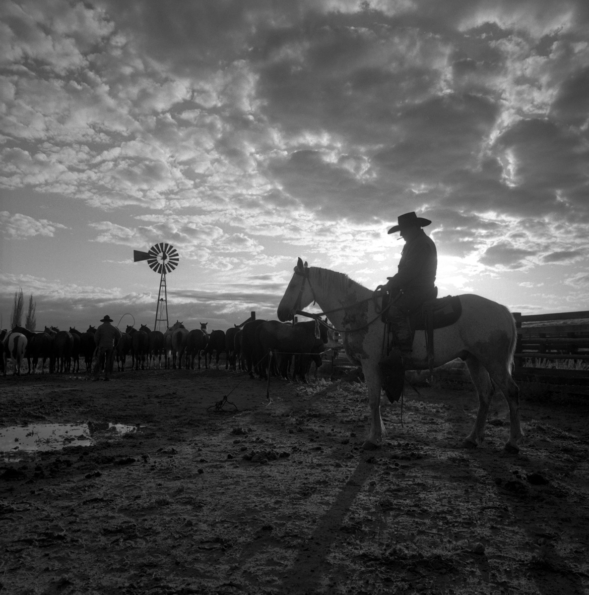 Morning, TS Ranch