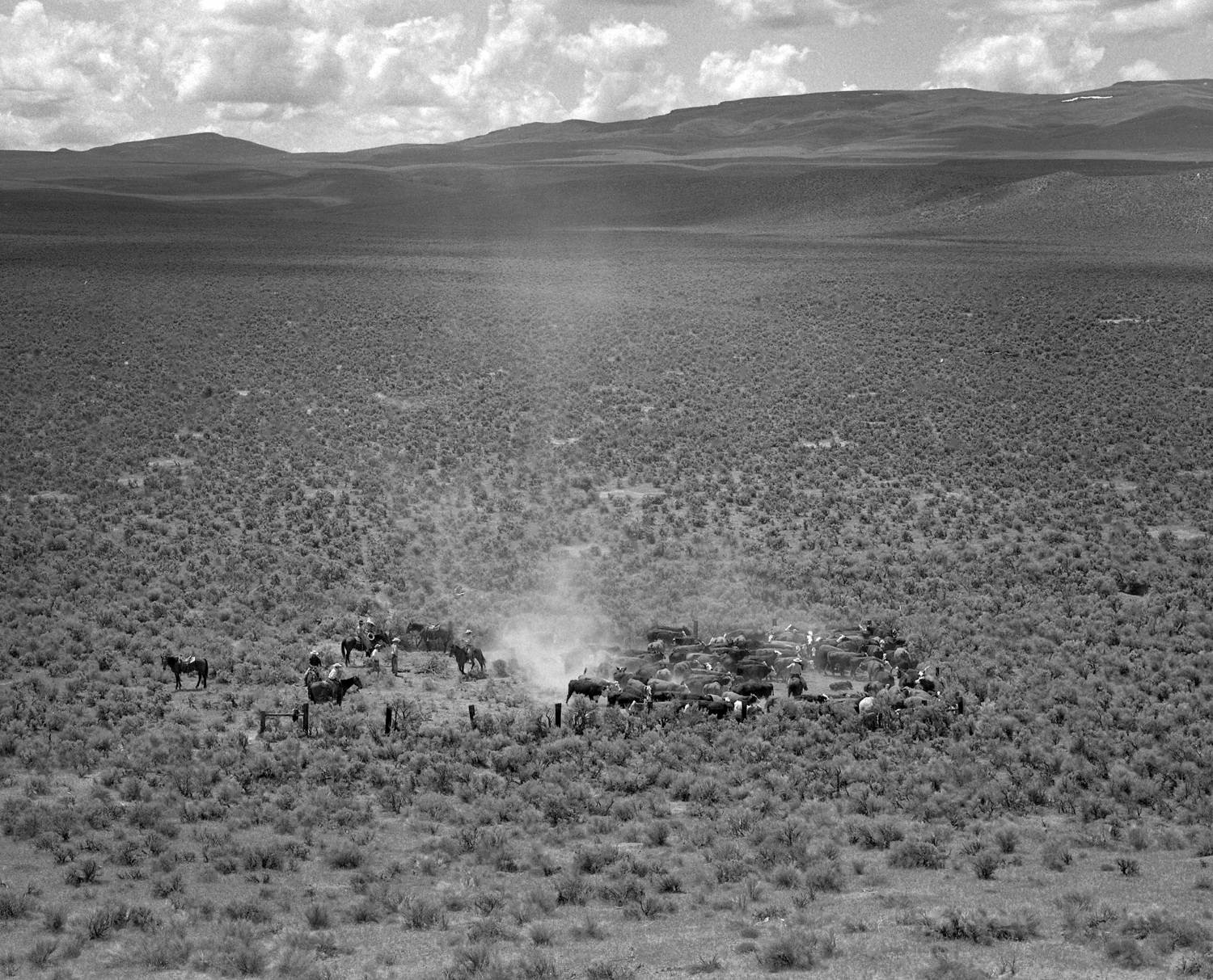 Desert Solitaire,  Spanish Ranch, NV