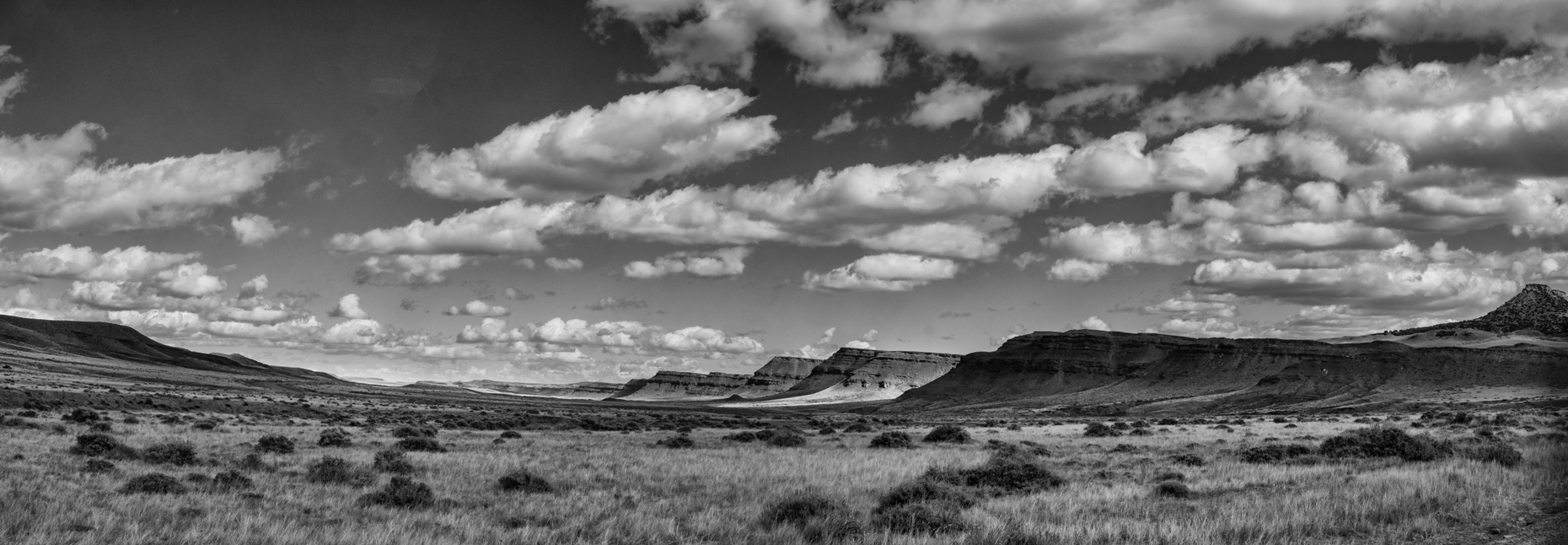 Landscape #1, Willow Creek Ranch, Wyoming